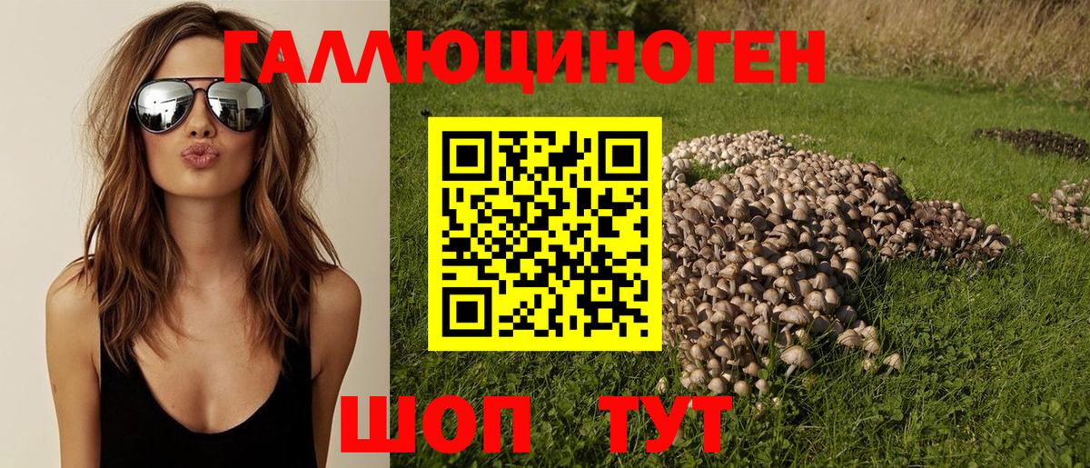 Реутов  Галлюциногенные грибы Psilocybine cubensis  Вход с VPN  Галлюциногенные грибы прущие грибы 