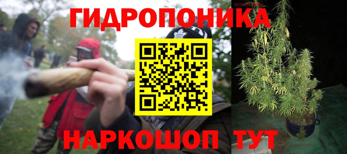 Бошки Шишки VHQ  Бошки Шишки гибрид  Реутов  Вход с VPN  Марихуана THC 21% 